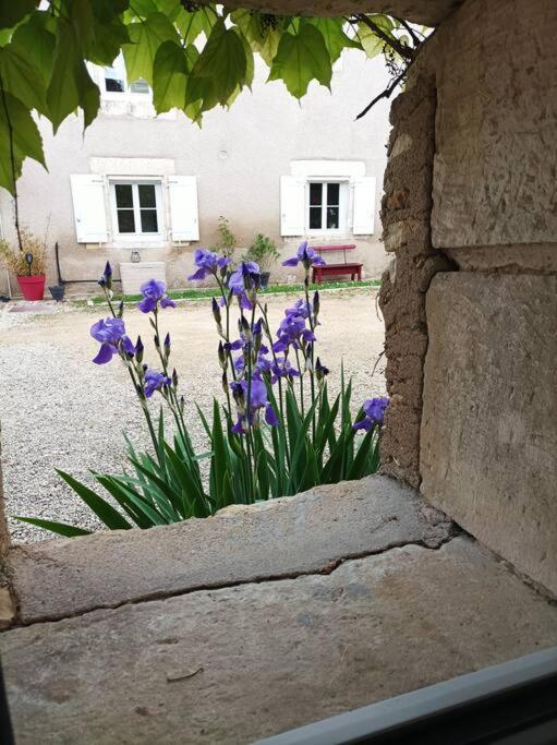 Gite De Charme - 3 Chambres, 5 Lits - De 4 A 7 Personnes Avanton Kültér fotó